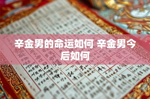 辛金男的命运如何 辛金男今后如何