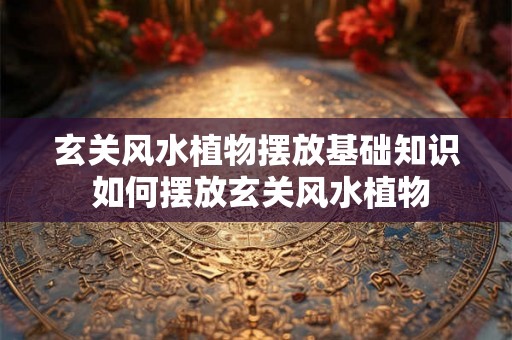 玄关风水植物摆放基础知识 如何摆放玄关风水植物