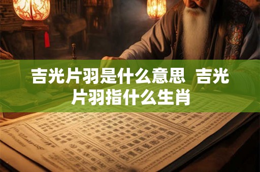 吉光片羽是什么意思  吉光片羽指什么生肖