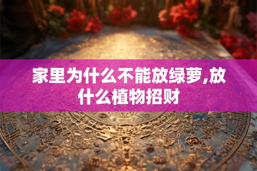 家里为什么不能放绿萝,放什么植物招财