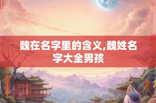 魏在名字里的含义,魏姓名字大全男孩