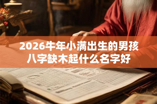 2026牛年小满出生的男孩八字缺木起什么名字好