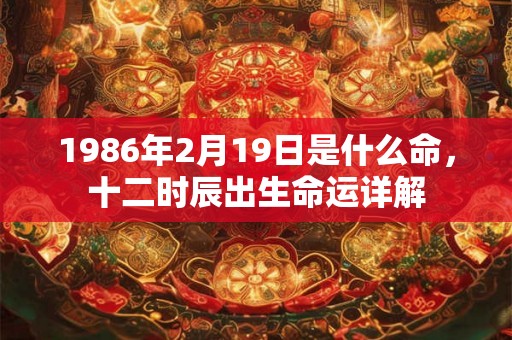 1986年2月19日是什么命，十二时辰出生命运详解
