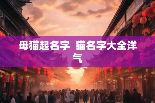 母猫起名字  猫名字大全洋气