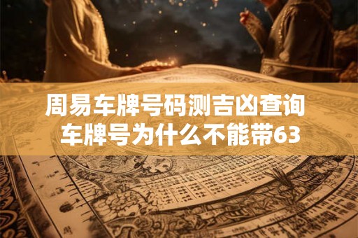 周易车牌号码测吉凶查询 车牌号为什么不能带63