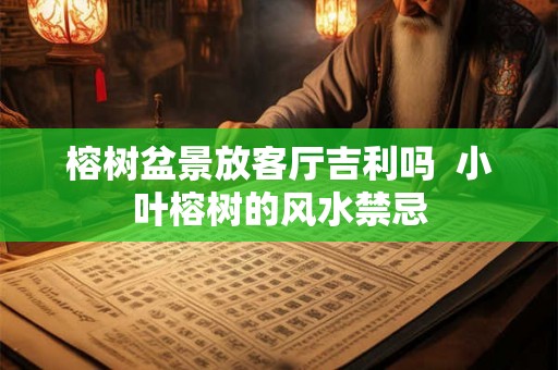 榕树盆景放客厅吉利吗  小叶榕树的风水禁忌