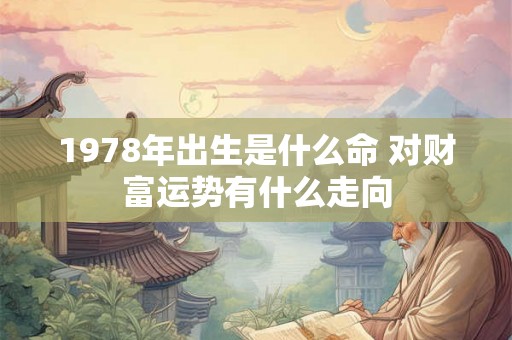 1978年出生是什么命 对财富运势有什么走向