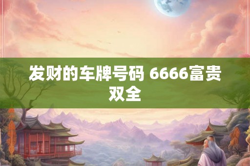 发财的车牌号码 6666富贵双全