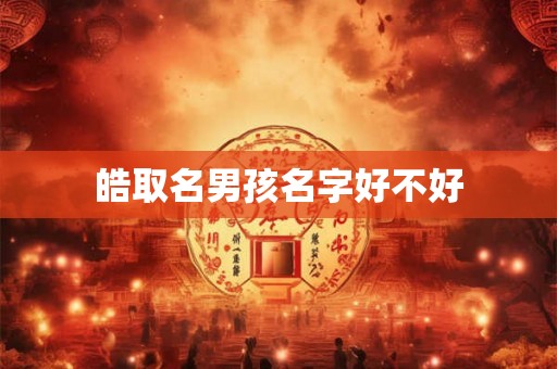 皓取名男孩名字好不好
