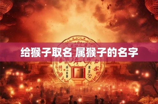 给猴子取名 属猴子的名字 给猴子取名 属猴子的名字
