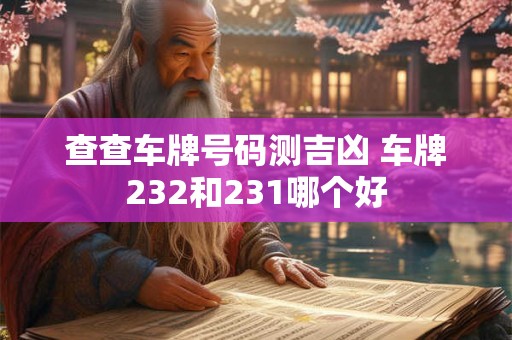 查查车牌号码测吉凶 车牌232和231哪个好 查查车牌号码测吉凶 车牌232和231哪个好