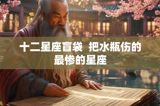 十二星座盲袋 把水瓶伤的最惨的星座 十二星座盲袋 把水瓶伤的最惨的星座