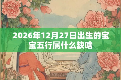 2026年12月27日出生的宝宝五行属什么缺啥