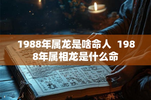 1988年属龙是啥命人  1988年属相龙是什么命
