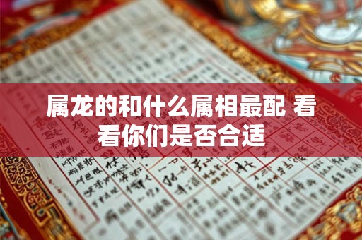 属龙的和什么属相最配 看看你们是否合适