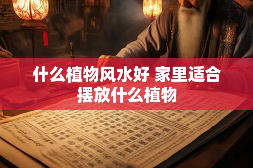 什么植物风水好 家里适合摆放什么植物