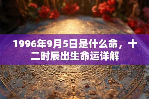 1996年9月5日是什么命，十二时辰出生命运详解