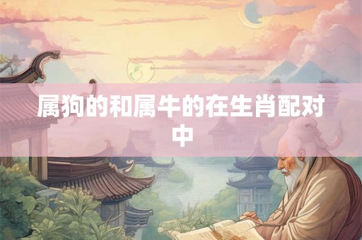 属狗的和属牛的在生肖配对中