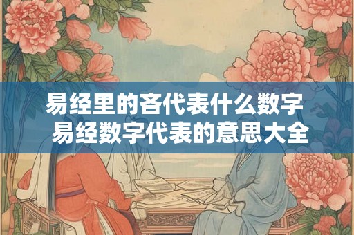 易经里的吝代表什么数字  易经数字代表的意思大全