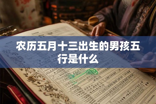 农历五月十三出生的男孩五行是什么
