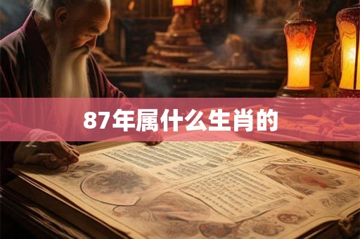 87年属什么生肖的