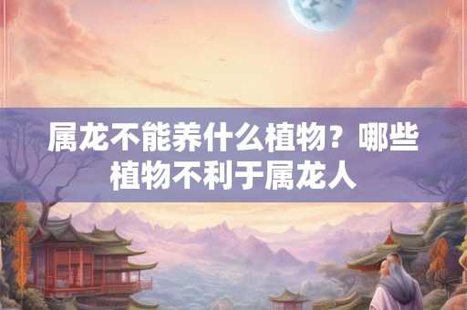属龙不能养什么植物？哪些植物不利于属龙人