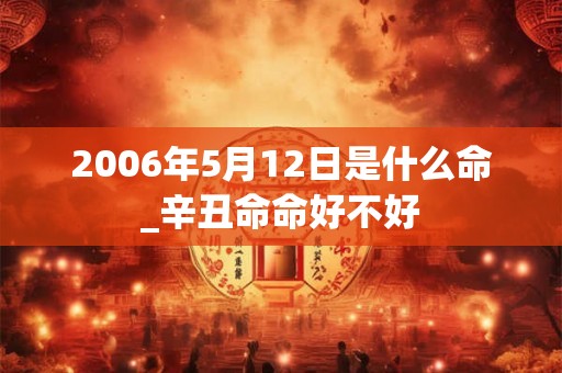 2006年5月12日是什么命_辛丑命命好不好