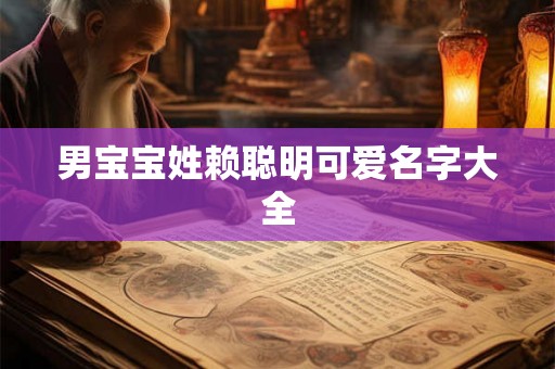 男宝宝姓赖聪明可爱名字大全