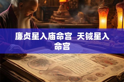 廉贞星入庙命宫  天钺星入命宫