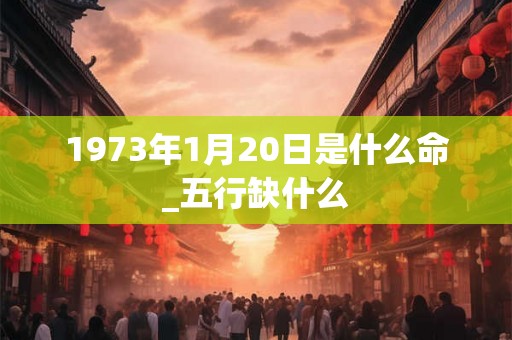 1973年1月20日是什么命_五行缺什么