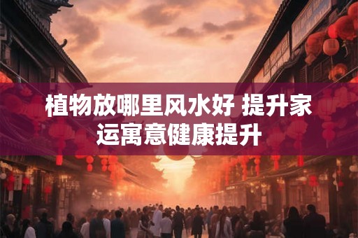 植物放哪里风水好 提升家运寓意健康提升