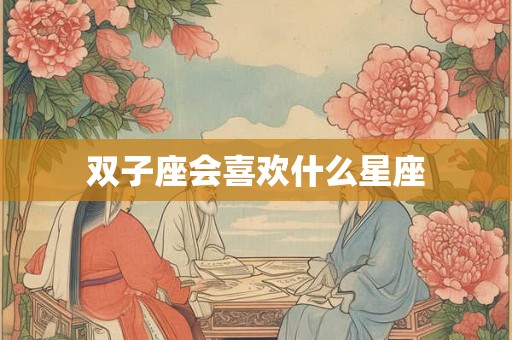 双子座会喜欢什么星座