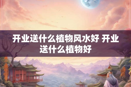开业送什么植物风水好 开业送什么植物好
