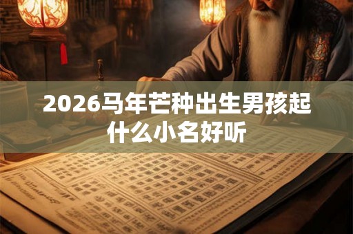 2026马年芒种出生男孩起什么小名好听