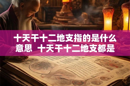 十天干十二地支指的是什么意思  十天干十二地支都是什么