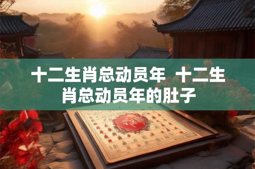 十二生肖总动员年  十二生肖总动员年的肚子