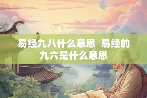 易经九八什么意思  易经的九六是什么意思