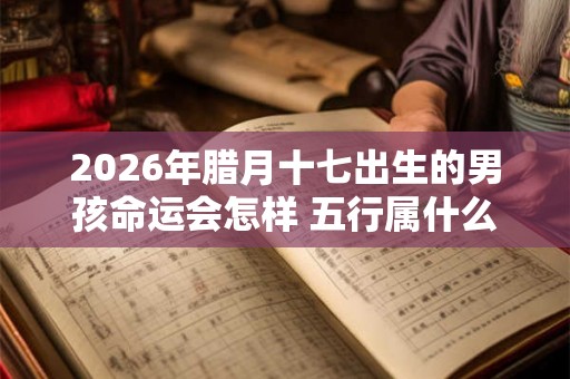 2026年腊月十七出生的男孩命运会怎样 五行属什么