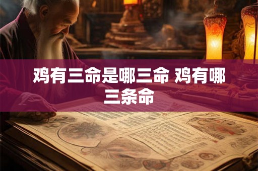 鸡有三命是哪三命 鸡有哪三条命