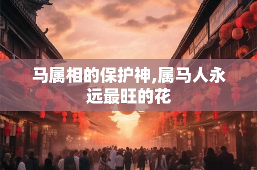 马属相的保护神,属马人永远最旺的花