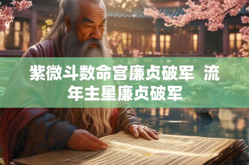 紫微斗数命宫廉贞破军 流年主星廉贞破军 紫微斗数命宫廉贞破军 流年主星廉贞破军
