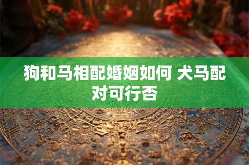 狗和马相配婚姻如何 犬马配对可行否