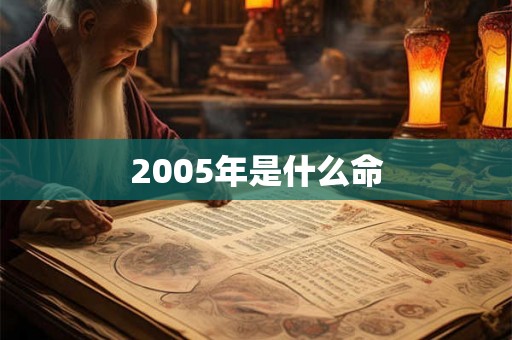 2005年是什么命