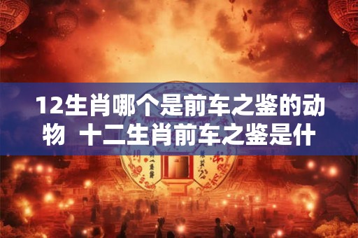12生肖哪个是前车之鉴的动物 十二生肖前车之鉴是什么动物 12生肖哪个是前车之鉴的动物 十二生肖前车之鉴是什么动物