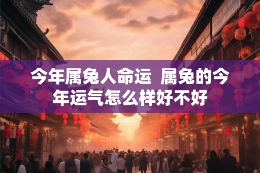 今年属兔人命运  属兔的今年运气怎么样好不好