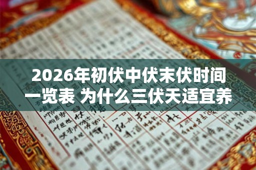 2026年初伏中伏末伏时间一览表 为什么三伏天适宜养生