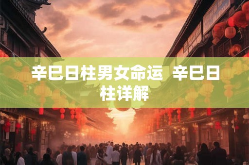 辛巳日柱男女命运  辛巳日柱详解