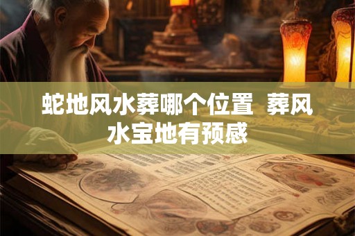 蛇地风水葬哪个位置  葬风水宝地有预感