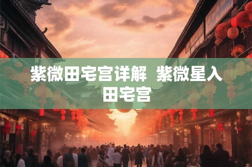 紫微田宅宫详解  紫微星入田宅宫