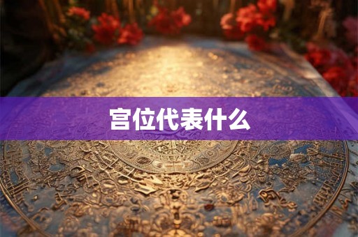 宫位代表什么 宫位代表什么